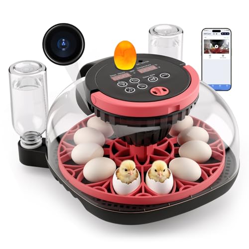 MYPIN Automatic 12-Egg Incubator with Camera & App Control, Smart Temperature Humidity Monitor, Auto Turner for Chicken Duck Quail Pigeon Hatching, Record Life's Birth Moments