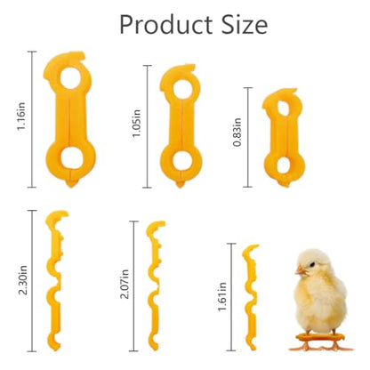 15pcs Baby Chicken Parrot Splay Leg Hobbles,Poultry Leg Bands for Newborn Spraddle Leg of Chick、Quails、Ducks、Bird Parrot of 1 to 3 Days Newly Hatched,3 Sizes