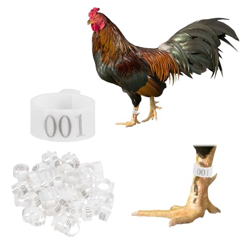 M METERXITY 50-Pack Chicken Leg Bands, 16 mm Plastic Poultry Identification Chicken Leg Rings for Turkey/Duck/Goose/Chicks, Colorful Numbered Foot Clip on Tags [White] - color: White, size: 16 mm