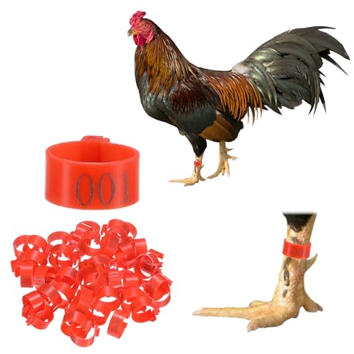 Generic 50-Pack Chicken Leg Bands, 16 mm Plastic Poultry Identification Chicken Leg Rings for Turkey/Duck/Goose/Chicks, Colorful Numbered Foot Clip on Tags [Red]