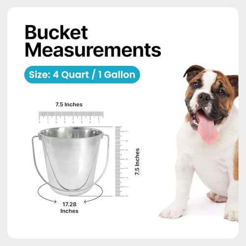 1 Gallon Heavy Duty Stainless Steel Bucket - Rust-Resistant Metal Bucket for Feeding & Watering Pets, Livestock & Cleaning - Perfect for Crates, Kennels, Cages & Hang on Fences - 4 Quart - size: 4 Quarts