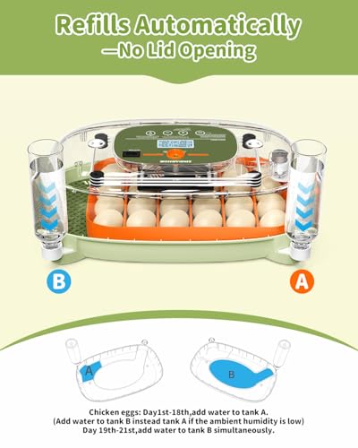 Egg Incubator for 24 Chicken Eggs with Automatic Turner, Digital Temperature Control & Humidity Display, Candler, Poultry Hatcher for Chicken, Duck, Quail, Birds (Green) - color: Green