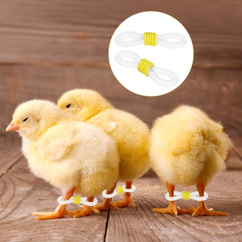 M METERXITY 100-Pack Adjustable Chick Leg Bands, 0.79" x 0.2" Silicone Chicken Leg Brace for Chicks/Ducks/Birds [Yellow] Poultry Leg Bands - color: Yellow