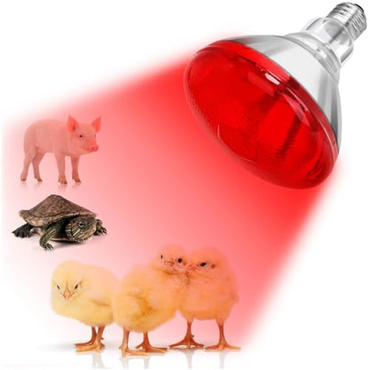 DaToo Infrared Heat Lamp Bulb for Chickens Red Heat Lamp Flood Light Heat Lamp Bulb 150 W Heating Bulbs for Brooder Coops Pets Chicks Reptiles Food Service (2 Pack) - size: 2 Pack