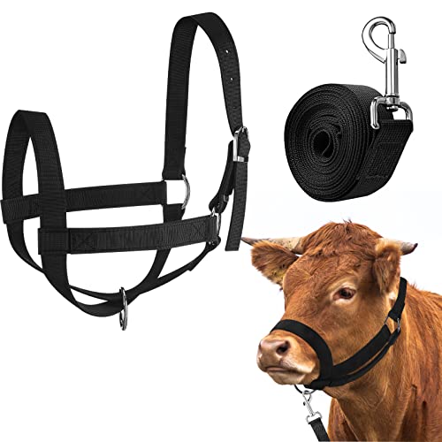 Hillban Cow Halter Cattle Halters Adjustable Calf Halter with Leading Rope for Miniature Horse Donkey Goat Foal Nylon Cattle Training Supplies - color: Black, size: Small