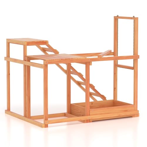 GOJOOASIS Chicken Activity Play Set - Poultry Run with Wood Stand, Ladder, Platforms, Swing, Food Storage, Chicken Toy for Coop, Outdoor Birds Pet Entertainment