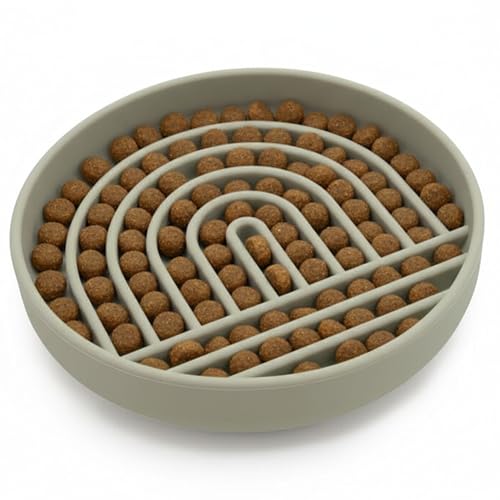 Should We Go? Slow Feeder Dog Bowls - Small Size Silicone Slow Eating Dog Bowl for Puppies & Dogs with Suction Cup -Dishwasher-Safe, Lick Mat Design, Reduces Gulping, for All Breeds, 6”x1.25”- Sage - color: Sage - Rainbow Design, size: Small (6” Across x