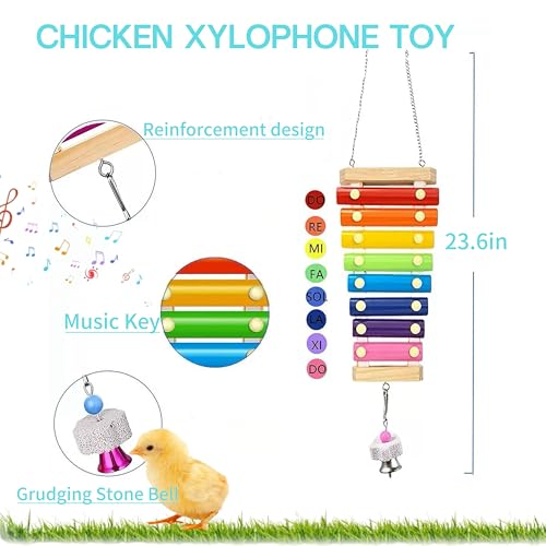 Chicken Toys for Coop Accessories，Chicken Chewing Toy Hanging Feeder Chicken Xylophone Mirror Vegetable Fruits Skewer for Hens Chick Bird Parrot（B）