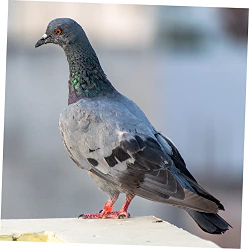 Homoyoyo 100pcs Identification for Pigeons Poultry Plastic Leg Bands for Birds Easy to Use Foot Clips for Marking Differentiating Breeds Mixed Colors