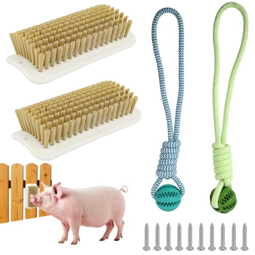 4Pcs Pig Enrichment Toy, Self-Grooming Scratch Brush and Treat Dispenser Ball Toys for Pigs