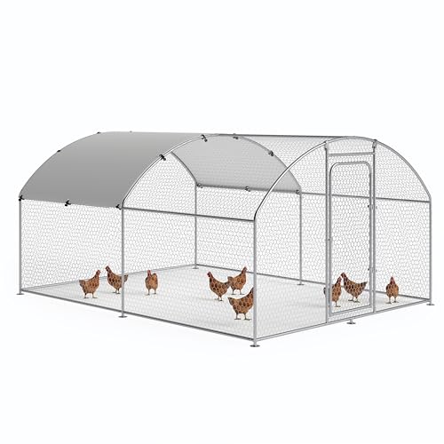 Chicken Coop 119.0" L x 119.0" W x 78.0" H - size: 158.5"L x 120.1"W x 76.8"H
