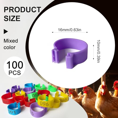 100 Pcs Chicken Leg Bands,16mm Chicken Bands,for Chicks Ducks Bantam Guinea Pigeons,for Easy Flock Management