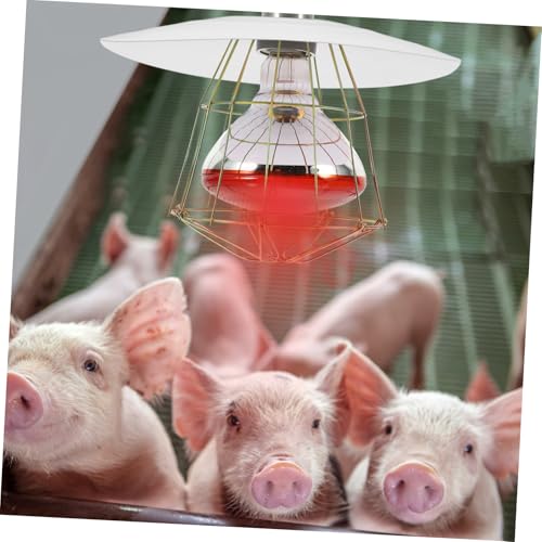 Chicken Coop Heater Guard Metal Lamp Shade for Poultry Reptiles Easy to Install - Versatile Use Livestock Environments