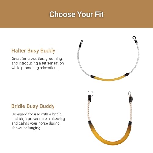 Thinline Busy Buddy - Equestrian Tack Accessories Durable Versatile Easy to Use Universal Horse Calming Pacifier Relaxation Tool with Latex Mouth Piece - style: Bridle Busy Buddy