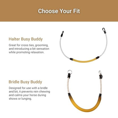 Thinline Busy Buddy - Equestrian Tack Accessories Durable Versatile Easy to Use Universal Horse Calming Pacifier Relaxation Tool with Latex Mouth Piece - style: Bridle Busy Buddy