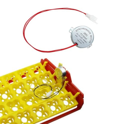 Incubator Automatic Egg Turning Motor 12V 110V Synchronous Motor Incubator Accessories
