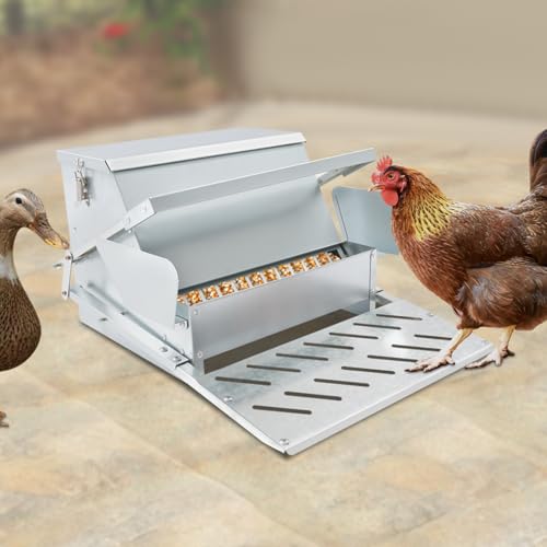Chicken Feeder Automatic Treadle Feeder for Outdoor, 25lb Poultry Feeder with Weatherproof Lid, Sturdy Galvanized Steel Feeders for 6-12 Chickens 10 Days