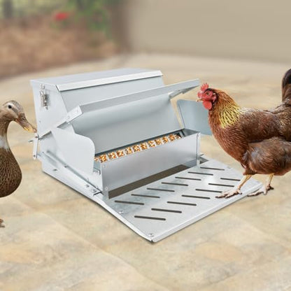 Chicken Feeder Automatic Treadle Feeder for Outdoor, 25lb Poultry Feeder with Weatherproof Lid, Sturdy Galvanized Steel Feeders for 6-12 Chickens 10 Days