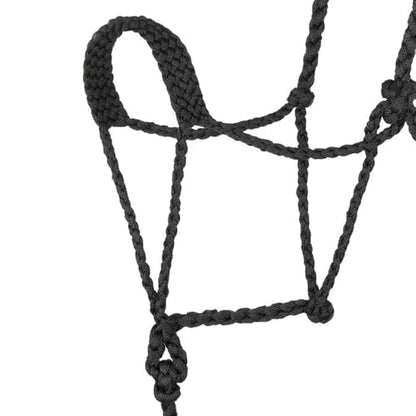 Weaver Leather Black Braided Rope Halter with Lead