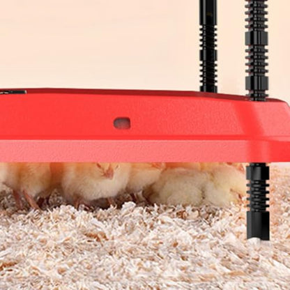 Electric Chick Brooder Heating Plate Adjustable Height Chick Cage Heater Chicken Warmer US Plug