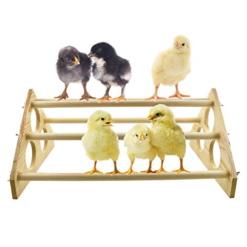Chicken Perch Wood Stand with Holes Chick Stand Trainning Perch Hen Roost bar for Chicks Poultry Swing Chicken Toy for Hens