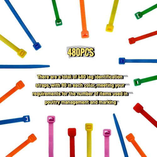 Vibrant 480Pcs Chick Chicken Leg Bands - Easily Identify Your Poultry with Colorful Leg Bands -Durable and Bright Colors Long-Lasting Visibility - Perfect for Chicken, Duck, and Goose Owners