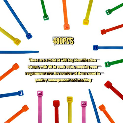 Vibrant 480Pcs Chick Chicken Leg Bands - Easily Identify Your Poultry with Colorful Leg Bands -Durable and Bright Colors Long-Lasting Visibility - Perfect for Chicken, Duck, and Goose Owners