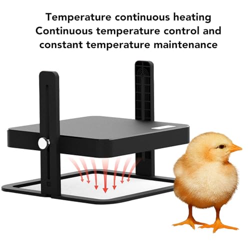 Chick Heating Plate Brooder Heater with Temperature Control – Safe, Energy-Efficient, Flat- Brooding Plate for Chicks, Ducklings & Poults – Compatible with Chicken Coops & Barns