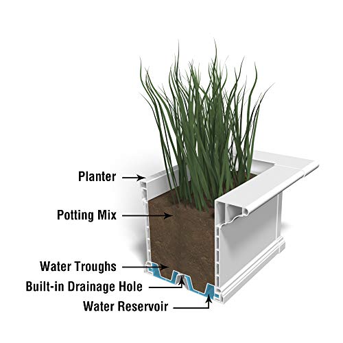 Mayne Yorkshire 4ft Window Box - White - 48in L x 12in W x 10in H - Polyethylene Planter - Built-In Water Reservoir (4824-W) - size: 4-Foot