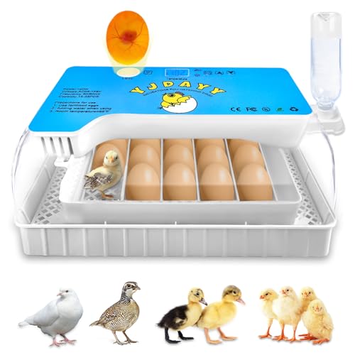 Incubators for Hatching Eggs 15-35 Eggs Incubator with Automatic Egg Turning and ℉Temperature Display LED Candler Poultry Incubator for Hatching Chicken Duck-Y (Blue)