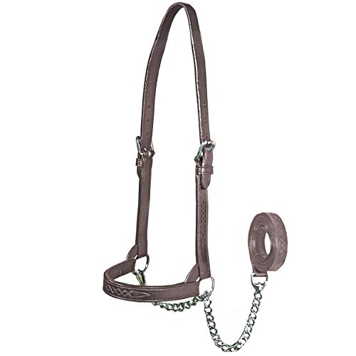 Derby Originals Premium Fancy Stitch Flat Leather Cattle Show Halter – Adjustable Fit with 48" Lead and 14" Chain, Small/Medium/Large – 1-Year Warranty - color: Havana, size: Large (950lbs-1500lbs)