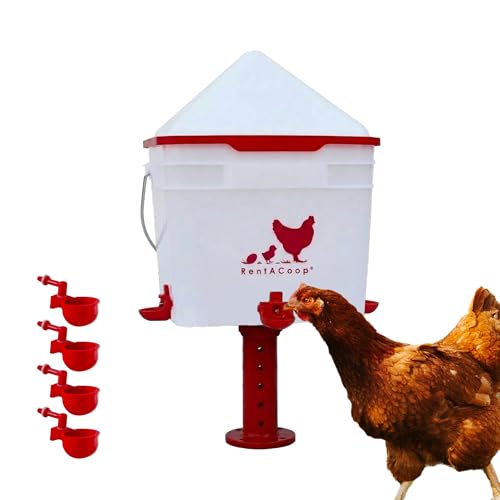 RentACoop 2 Gallon Chicken Waterer with 4 Auto-Fill Water Cups, 4 Horizontal Nipples, and Custom Adjustable Stand; BPA-Free; Large Capacity Poultry Waterer- Center Placement