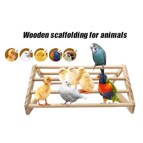 Chick Perch Chicken Coop Toys and Accessories,Chick Roosting Bar,Brooder for Baby Chicks,Strong Wooden Bird Perch. (Style 2, 14.4" x 10.7" x 6.7) - color: Style 2