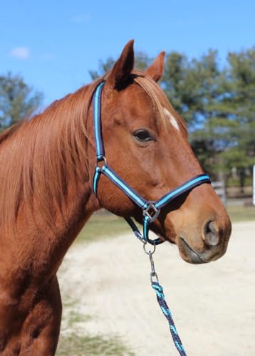 TuffRider Nylon Breakaway Halter & Lead Rope Set | Adjustable Halter for Horses with Lead Rope | Multiple Sizes and Colors - Navy/Neon Blue - Pony - color: Navy/Neon BLue, size: Pony