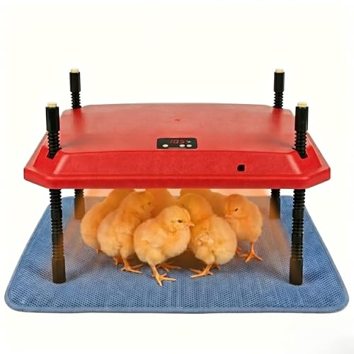 10"x10" Chick Brooder Heater Plate with Absorbent Pad - Safe Adjustable Poultry Coop Heater for 15 Chicks & Ducklings, Fire-Safe Heat Lamp Alternative for Baby Chickens - color: 10"*10"