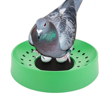DQITJ 10 Pack Plastic Small Bird Nests Pigeon Nesting Bowls Quails Breeding Hatching Nest Canary Nest for Home Farm