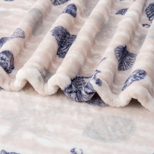 Berkshire Blanket-Classic Heavyweight Warm Soft Printed VelvetLoft® Plush Blanket, King Size Soft Fuzzy Blanket for Couch Sofa Bed, Classic Shells Navy, 90in x 108in - color: Classic Shells Navy, size: King/Cal King