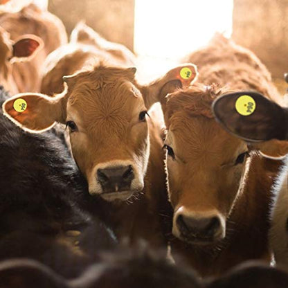 Livestock Round Number Ear Tag for Pig Sheep Cattle - for Farm Management