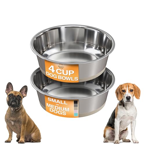 Neater Pet Brands Stainless Steel Dog Bowls with Non-Slip Rubber Bottom – Set of 2, 4 Cup (32 oz), Tan - Heavy Duty Metal Dog Bowl, Dishwasher Safe, Food or Water Bowl, Ideal for Medium Dogs - color: Tan, size: 4 Cup (Set of 2)