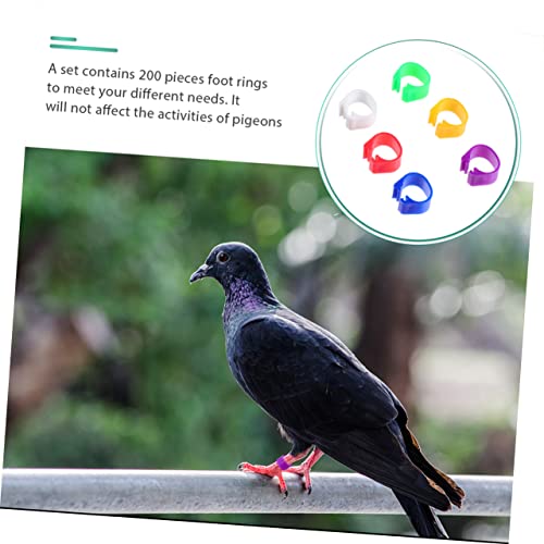 Hemoton 100pcs Bird Accessories Poultry Foot Band Rings Chicken Toys Blank Duck Bands Clip Leg Ring for Pigeon Parrots