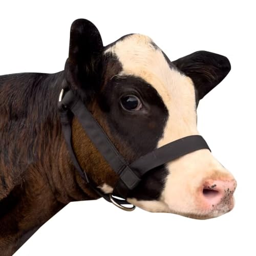 perixir Cow Halter Cattle Halters Calf Halter，Adjustable Nylon Livestock Cattle Halter，for Miniature Horse Donkey Goat Foal - color: Black, size: Small