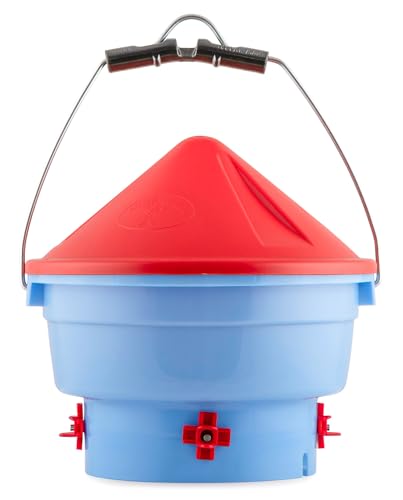 Little Giant® Deluxe Hen Hydrator | 1 Gallon | Gravity Fed Poultry Waterer | Durable Water Dispenser for Flocks | Made in USA