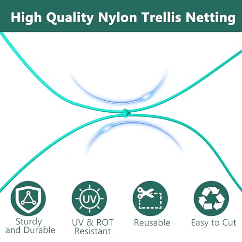 Bird Netting for Chicken Coop, Poultry Netting Over Chicken Run & Chicken Pen, Heavy Duty Nylon Nettings Reusable, UV-Resistant, Garden Netting Aviary Net Fruit Tree Nettings - size: 1.97"-4.92' x 65.62'