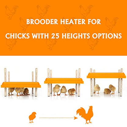Brooder Heater for Chicks: Chick Brooder Heating Plate with Easy- Cleaning Plate Poultry Coop Heater Chicks Warmer 12" x 12" for 20 Chicks Adjustable Height Brooding Heater 22 Watts - color: Orange-12x12