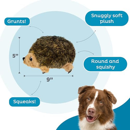 Outward Hound Hedgehogz Stuffed Dog Toy – Soft Plush Hedgehog, Grunts & Squeaks, Medium, 9" x 5" x 6.5" - size: Medium (Pack of 1)