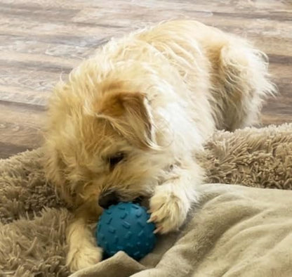 Challenging Treat-Dispensing Ball for Pigs, Piglets, Dogs, and Rabbits – Mental Stimulation and Playtime Fun! (Blue) - color: Blue