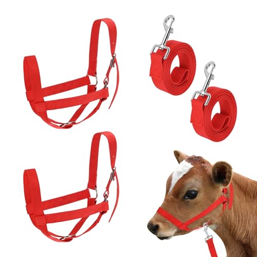 M METERXITY 2-Pack Adjustable Cattle Cow Calf Halter, 12.6"-18.9" Nylon Livestock Cow Halter with Leading Rope for Miniature Horse/Donkey/Goat/Cattle [Red] - color: Red, size: 12.6"-18.9"