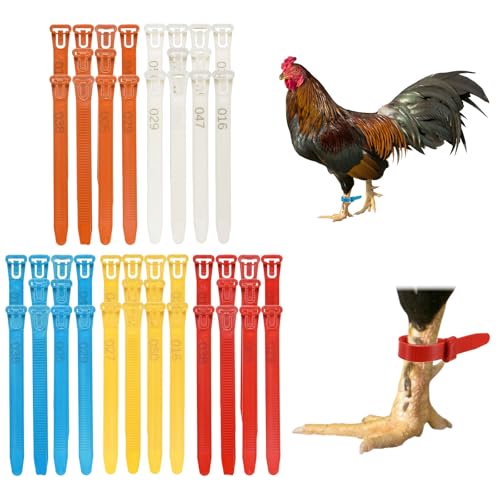 Generic 100-Pack Adjustable Chicken Leg Bands, 10-28 mm Plastic Poultry Identification Chicken Leg Rings for Turkey/Duck/Goose/Chicks, Colorful Numbered Foot Clip on Tags [Multicolor]