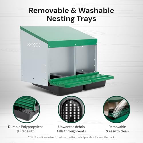 Homestead Essentials Classic Style 2 Compartment, Forward Rollout and Rollaway, Hen & Chicken Nesting Box with Integrated Perch and Protective Egg Laying Collection Lids - size: 2 Compartment