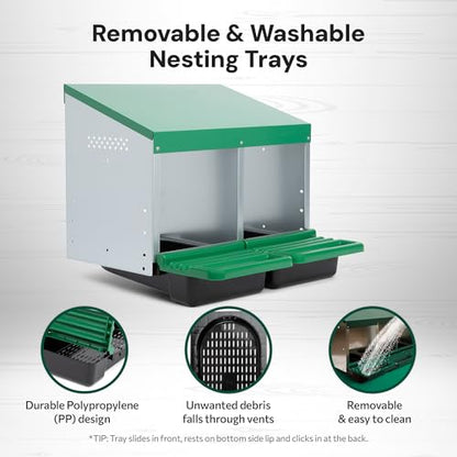 Homestead Essentials Classic Style 2 Compartment, Forward Rollout and Rollaway, Hen & Chicken Nesting Box with Integrated Perch and Protective Egg Laying Collection Lids - size: 2 Compartment